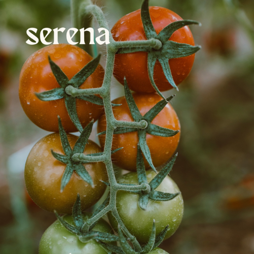 PRODUCTOS AGRICOLAS SERENA SPR DE RL